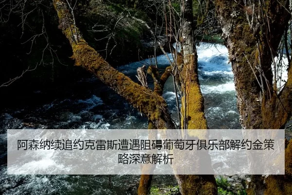 阿森纳续追约克雷斯遭遇阻碍葡萄牙俱乐部解约金策略深意解析