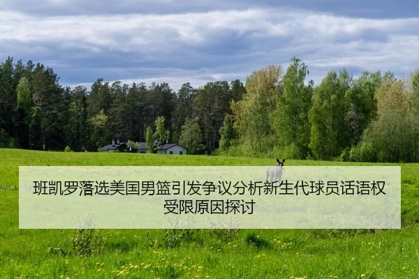 班凯罗落选美国男篮引发争议分析新生代球员话语权受限原因探讨