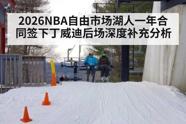 2026NBA自由市场湖人一年合同签下丁威迪后场深度补充分析